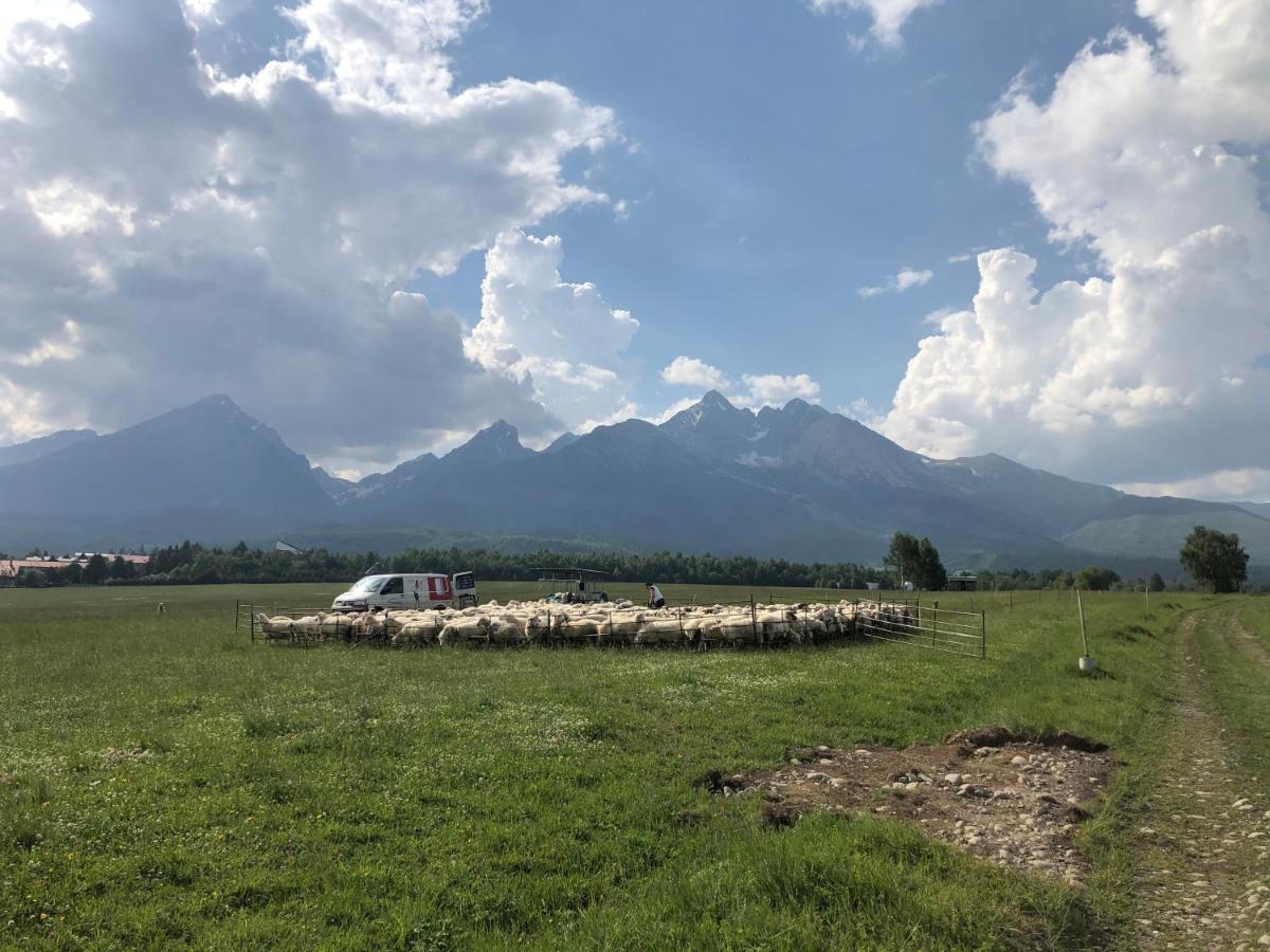 Penzion Bado Stará Lesná Dış mekan fotoğraf